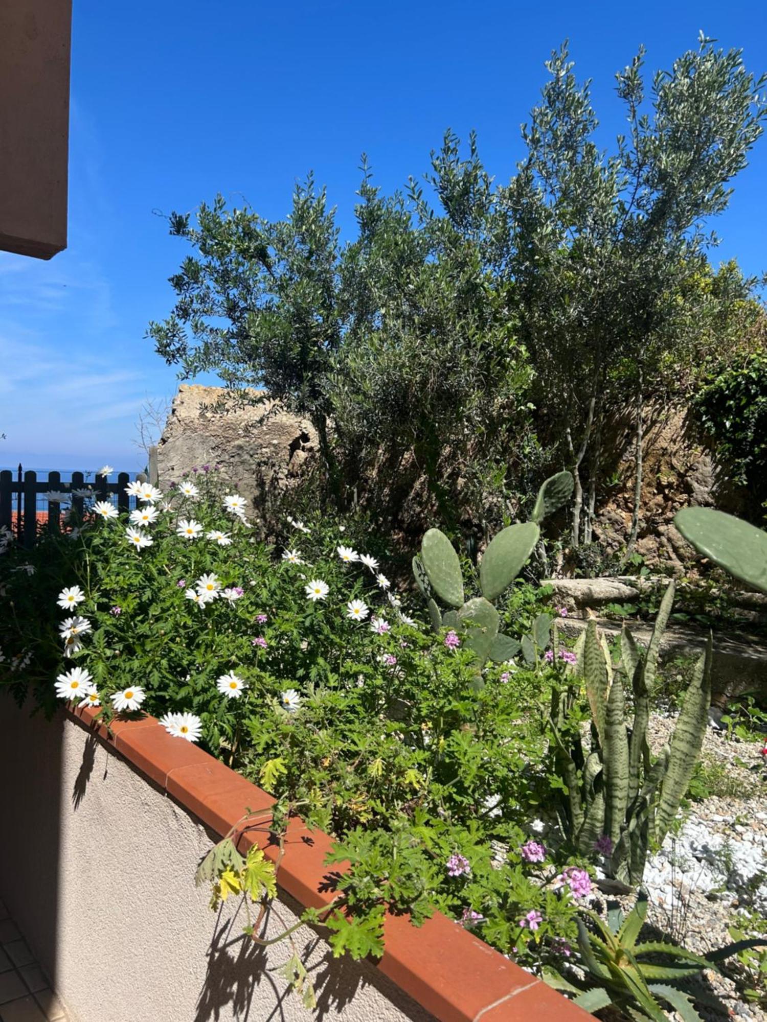 Arcobaleno Tropea Centro Bed and Breakfast Buitenkant foto